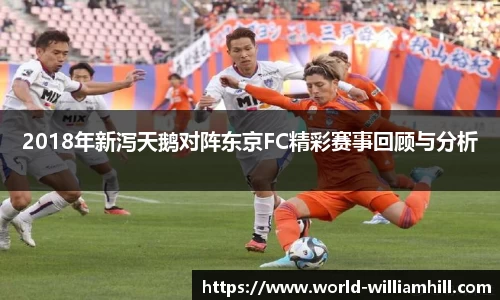 威廉希尔官网